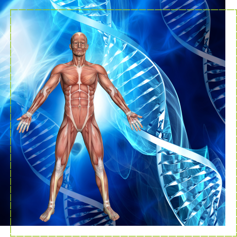 Biorressonância Biorressonância Clínica Vitta Rubi